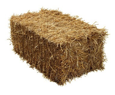 fotolia_51460553_xs_1600x900ms