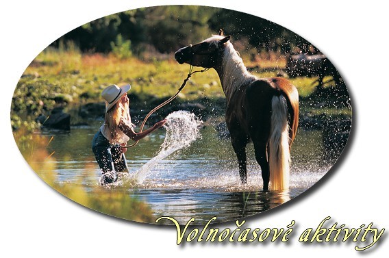 Nepojmenovan 5