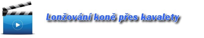 Nepojmenovan 4